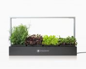 InstaGreen microgreen display dark aluminium filled with healthy microgreens