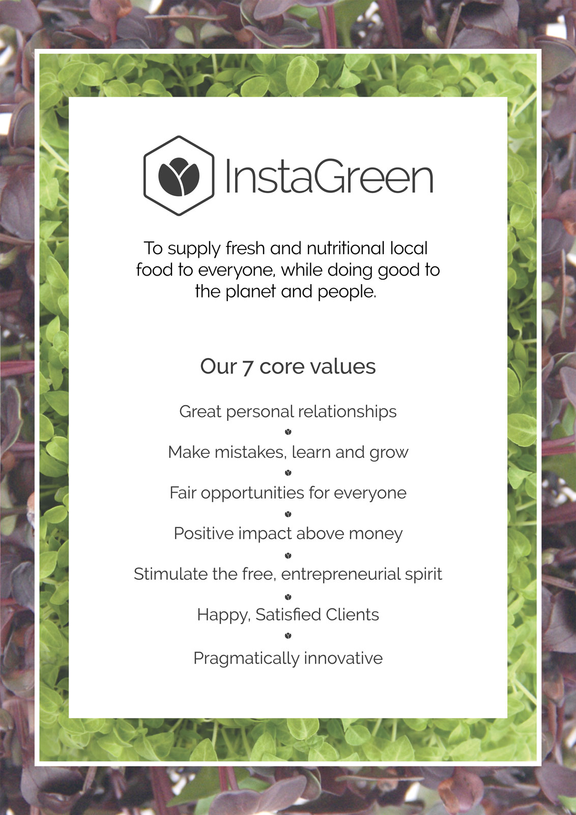 InstaGreen core values