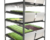 InstaGreen cultivation system