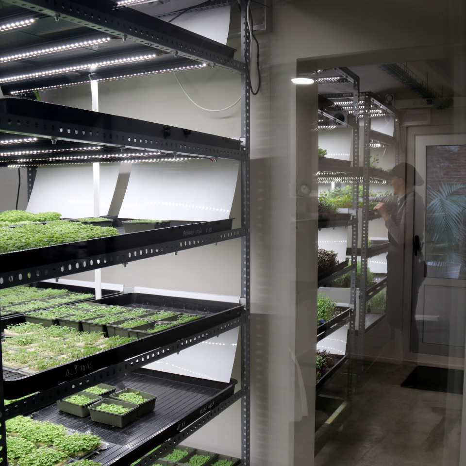 InstaGreenHouse growing space with multiple cultivation systems