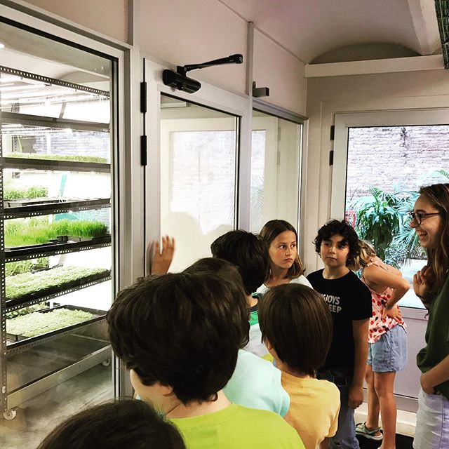 Tour in the InstaGreenHouse for children - showing the future of food cultivation