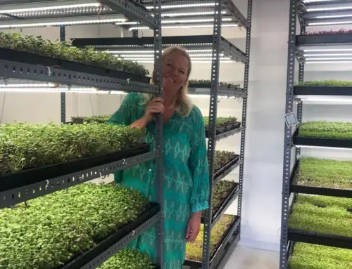 Customer case – Meet Becky of Planet Greens on Mallorca
